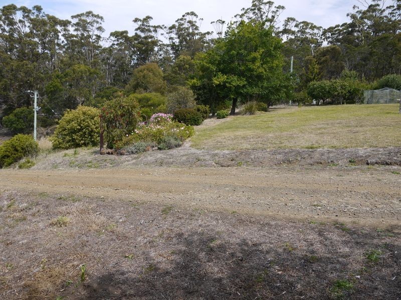 10505 Tasman Highway Little Swanport, Swansea TAS 7190