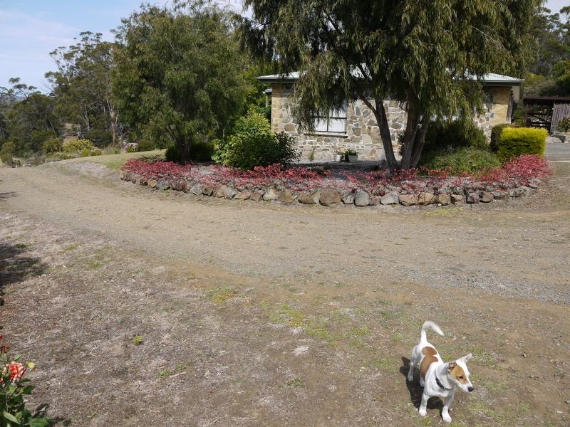 10505 Tasman Highway Little Swanport, Swansea TAS 7190