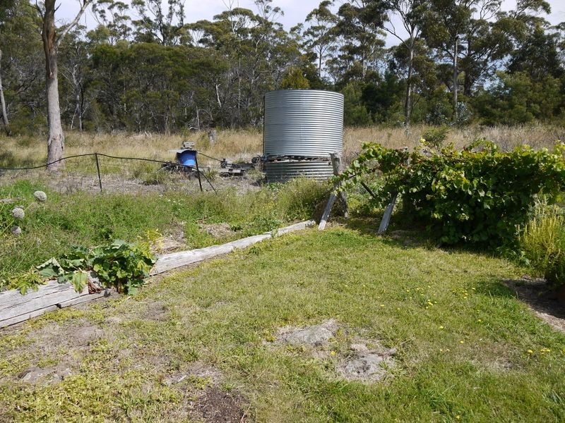 10505 Tasman Highway Little Swanport, Swansea TAS 7190