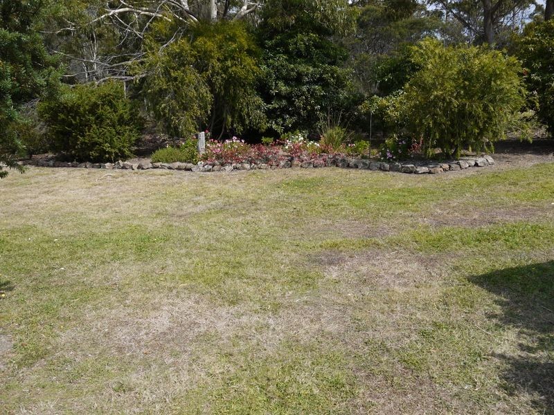 10505 Tasman Highway Little Swanport, Swansea TAS 7190