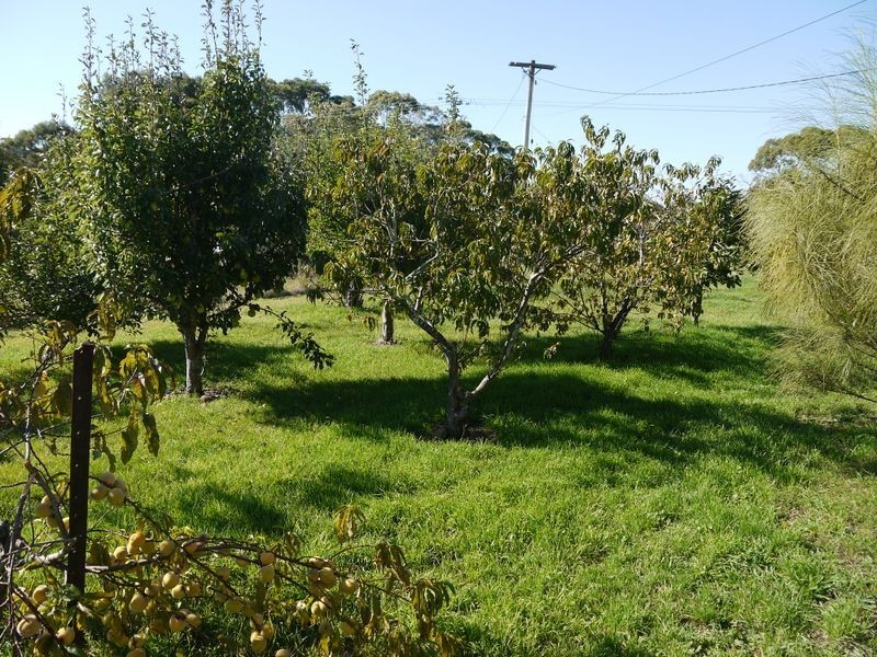 13511 Tasman Hwy, Swansea TAS 7190