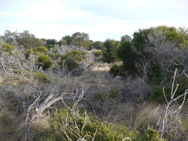 Lot 191 Dolphin Sands Road, Dolphin Sands TAS 7190