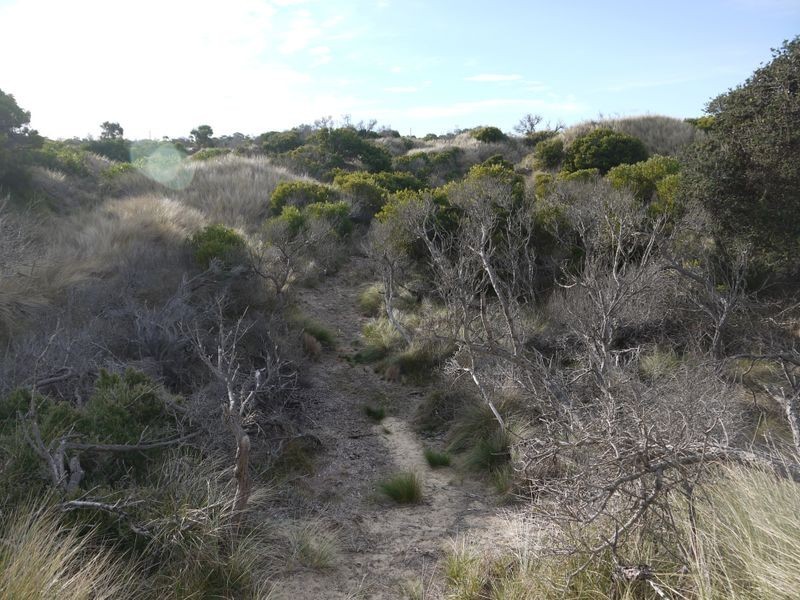 Lot 191 Dolphin Sands Road, Dolphin Sands TAS 7190