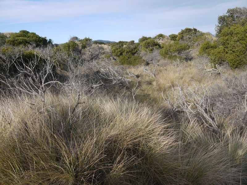 Lot 191 Dolphin Sands Road, Dolphin Sands TAS 7190