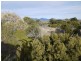 Lot 191 Dolphin Sands Road, Dolphin Sands TAS 7190