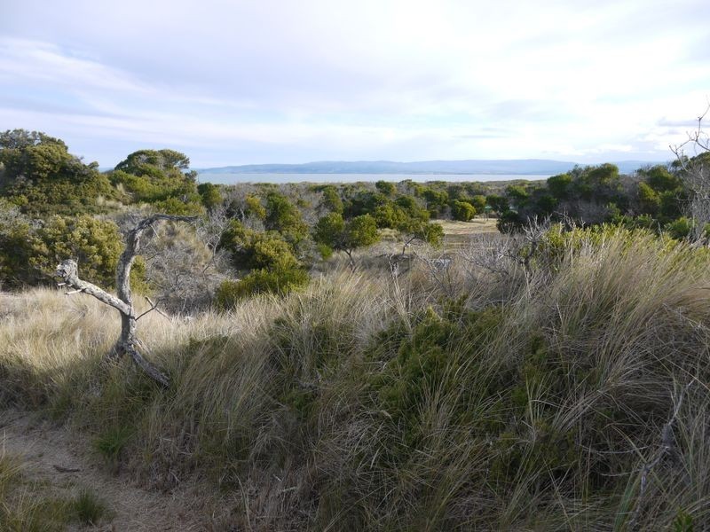 Lot 191 Dolphin Sands Road, Dolphin Sands TAS 7190