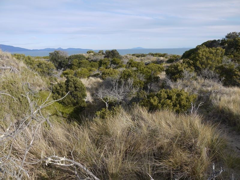 Lot 191 Dolphin Sands Road, Dolphin Sands TAS 7190