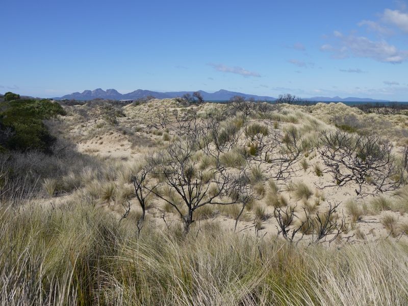 Lot 93 Dolphin Sands Road, Dolphin Sands TAS 7190
