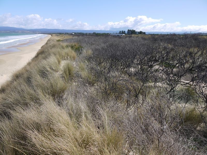 Lot 93 Dolphin Sands Road, Dolphin Sands TAS 7190