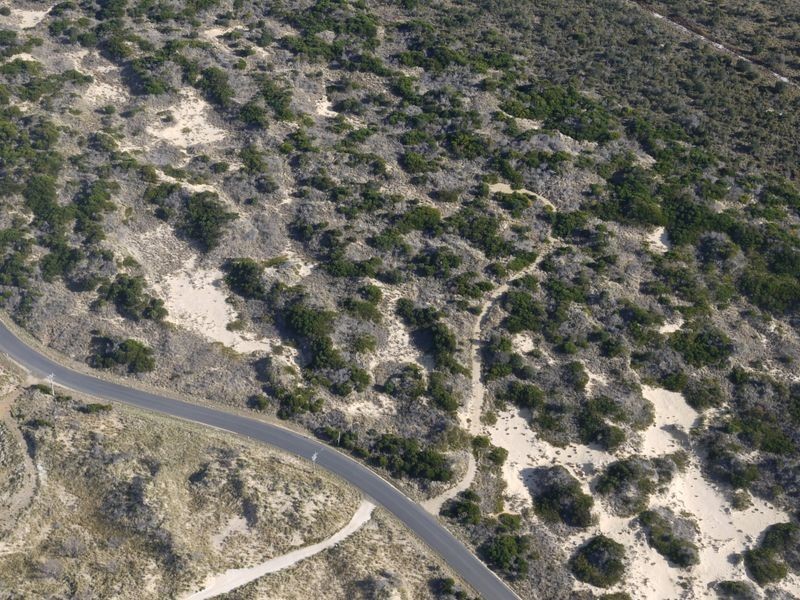 Lot 98 Dolphin Sands Road, Dolphin Sands TAS 7190