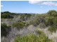 Lot 98 Dolphin Sands Road, Dolphin Sands TAS 7190