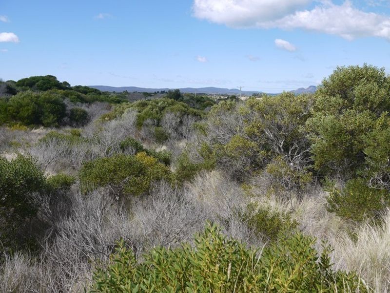Lot 98 Dolphin Sands Road, Dolphin Sands TAS 7190
