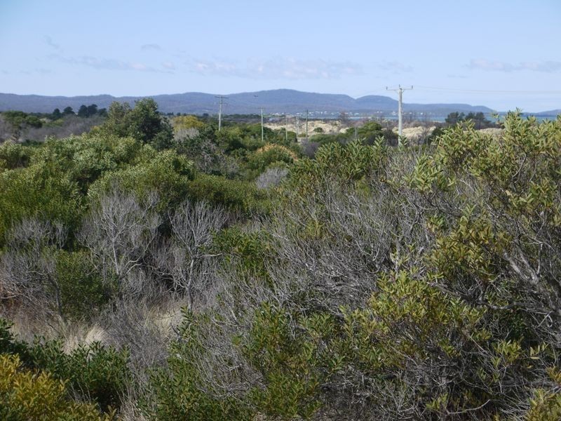 Lot 98 Dolphin Sands Road, Dolphin Sands TAS 7190