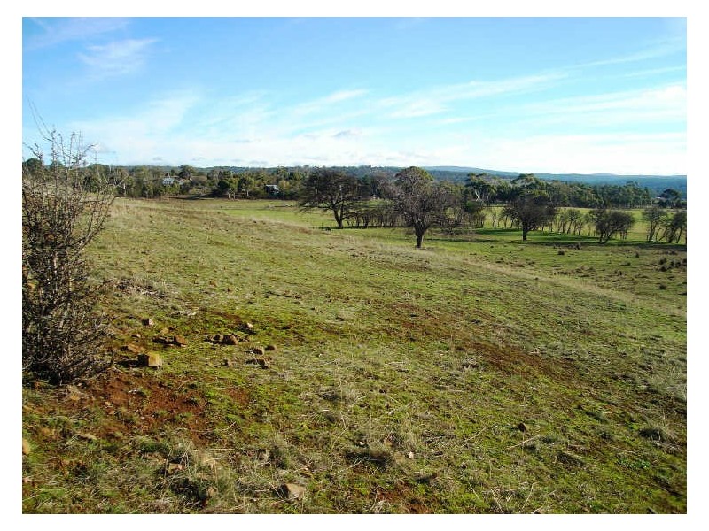 Lot 1/8 Dove Lane, Swansea TAS 7190