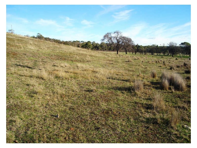 Lot 1/8 Dove Lane, Swansea TAS 7190