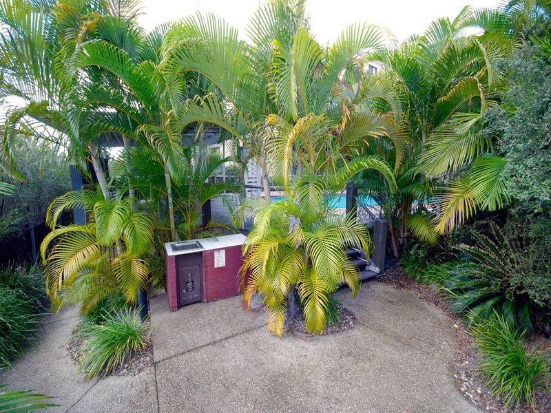 Taringa QLD 4068