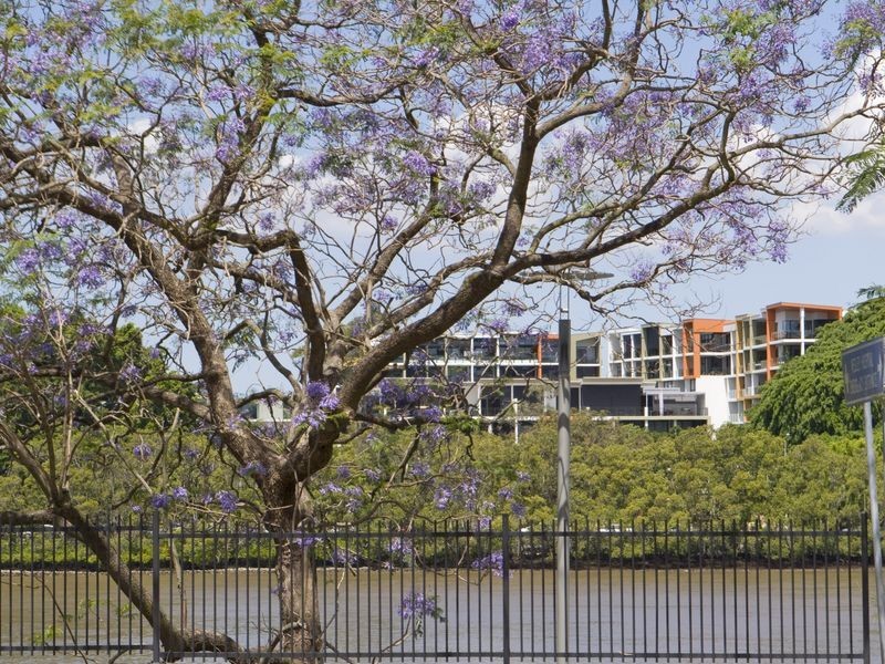 Auchenflower QLD 4066