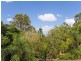 St Lucia QLD 4067