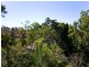 Indooroopilly QLD 4068