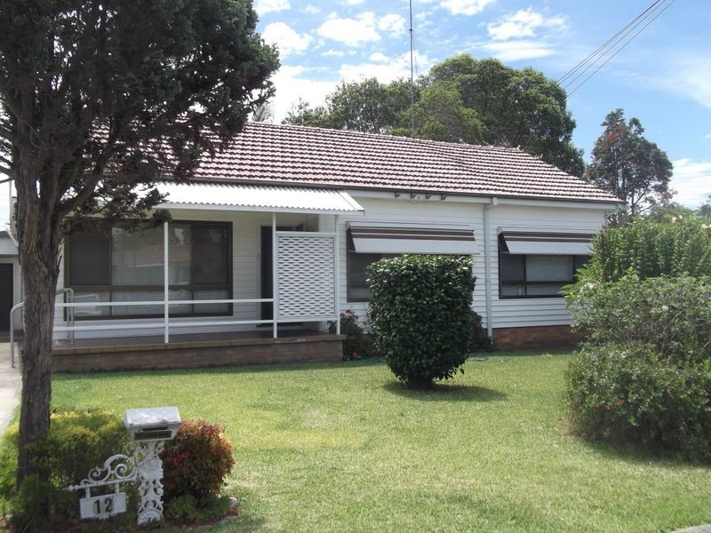 12 French Avenue, Toongabbie NSW 2146