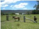 Baanners Lane, Little Hartley NSW 2790