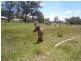Baanners Lane, Little Hartley NSW 2790