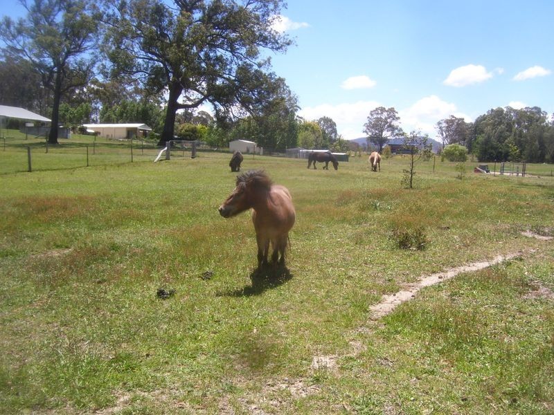 Baanners Lane, Little Hartley NSW 2790