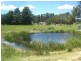Baanners Lane, Little Hartley NSW 2790