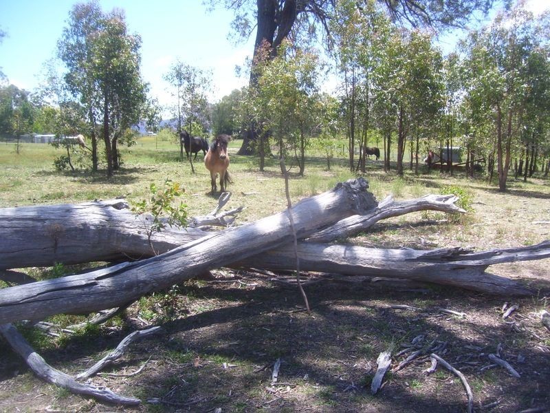 Baanners Lane, Little Hartley NSW 2790