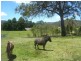 Baanners Lane, Little Hartley NSW 2790