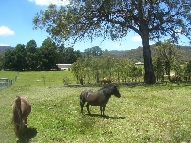 Baanners Lane, Little Hartley NSW 2790