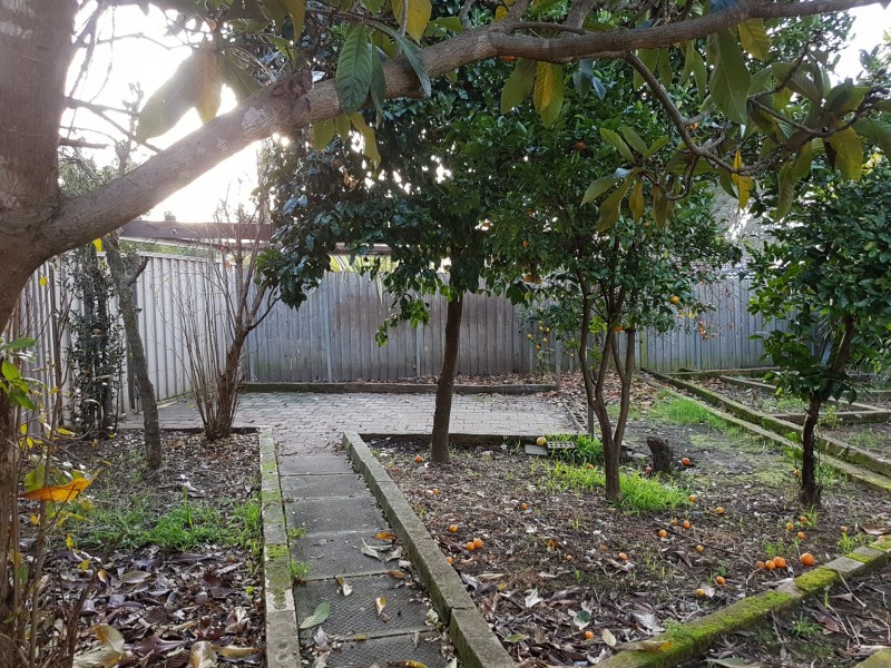 6 Mitumba Road, Seven Hills NSW 2147