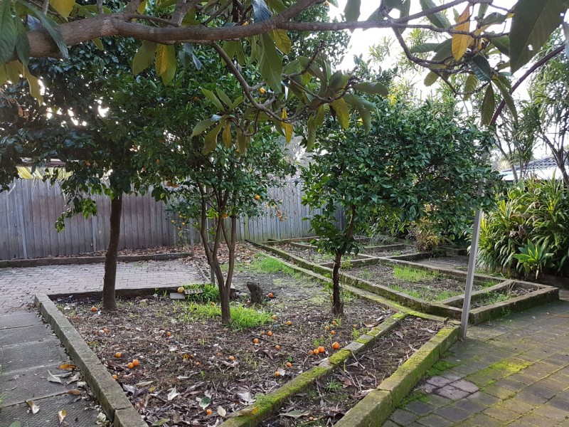 6 Mitumba Road, Seven Hills NSW 2147