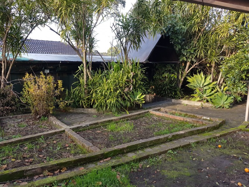 6 Mitumba Road, Seven Hills NSW 2147