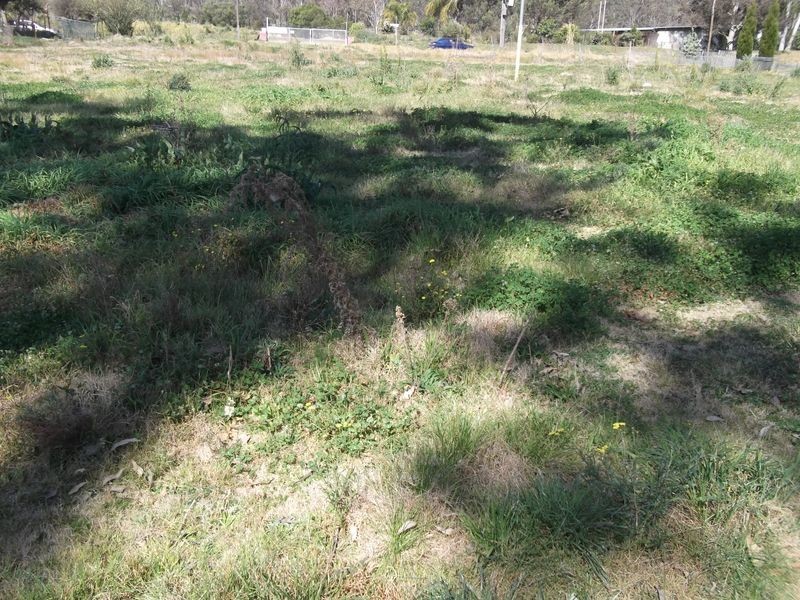 58 Shane Park Road, Shanes Park NSW 2747