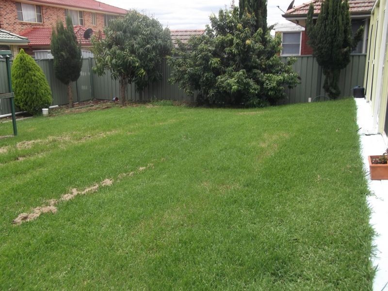 87 Meurants Lane, Glenwood NSW 2768