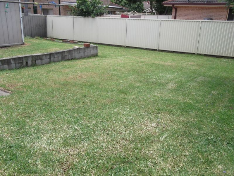 57 Orana Avenue, Seven Hills NSW 2147