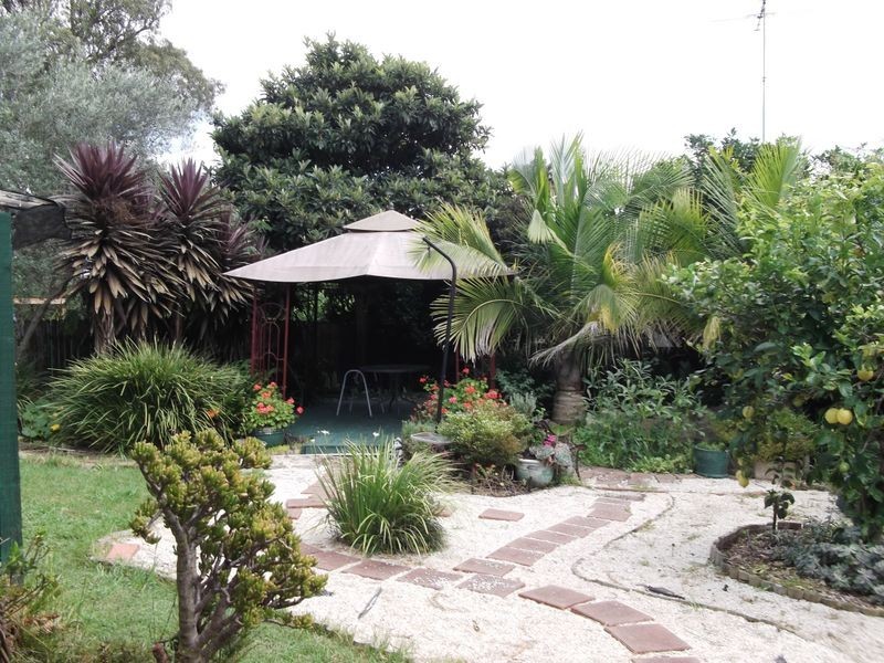 141 Glenwood Park Drive, Glenwood NSW 2768