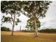 63 Millfield Road, Paxton NSW 2325
