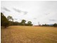 63 Millfield Road, Paxton NSW 2325