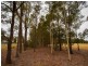 63 Millfield Road, Paxton NSW 2325