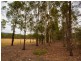 63 Millfield Road, Paxton NSW 2325