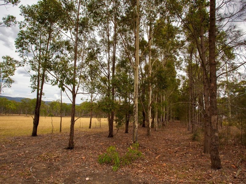 63 Millfield Road, Paxton NSW 2325