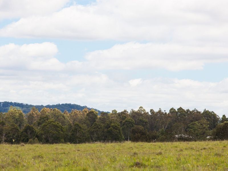 201 Whitings Lane, Quorrobolong NSW 2325