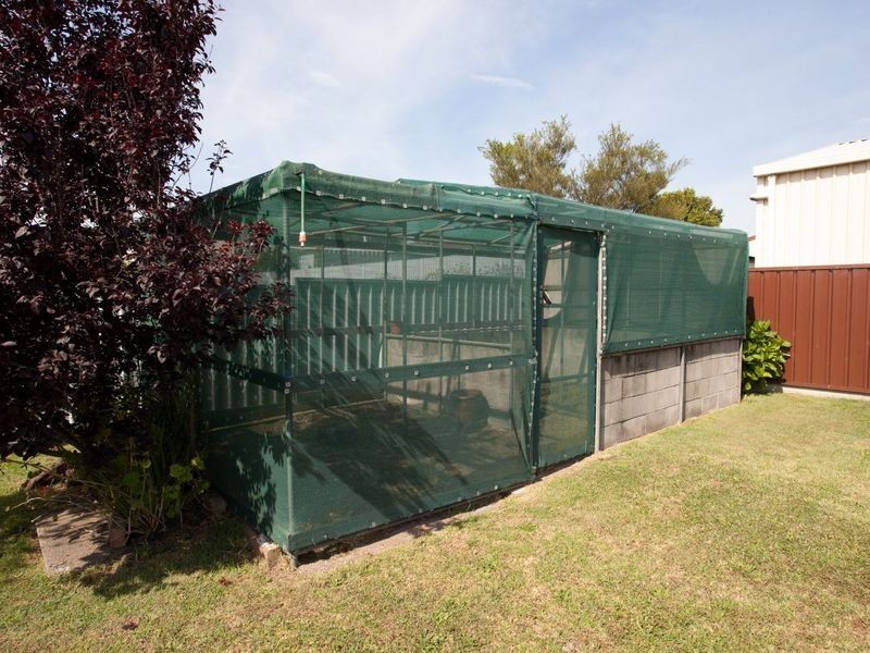 10 Swanson Street, Weston NSW 2326