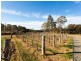 Lot 35 Kelman Estate, Pokolbin NSW 2320