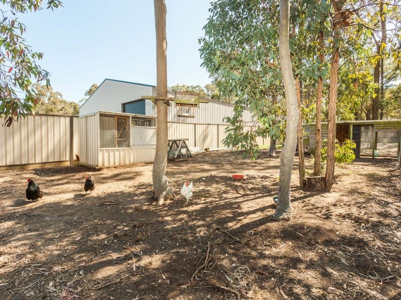 3 Kookaburra Close, Weston NSW 2326