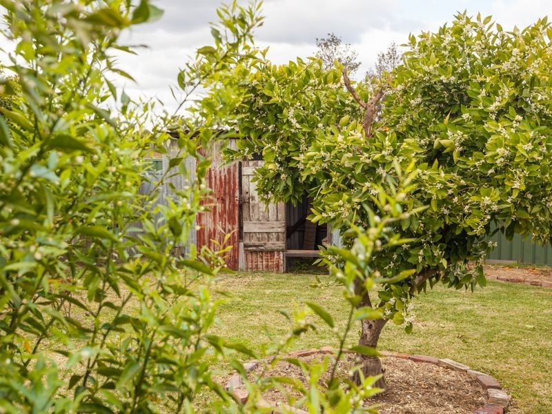 87 Melbourne Street, Abermain NSW 2326