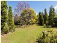 63 Fleet Street, Branxton NSW 2335