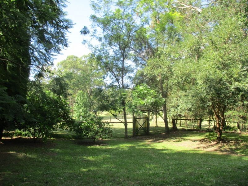 441 Wallaby Gully Road, Ellalong NSW 2325